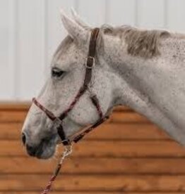 Commonwealth Saddles Commonwealth Banff Halter & Lead Set