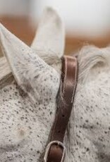 Commonwealth Saddles Commonwealth Banff Halter & Lead Set
