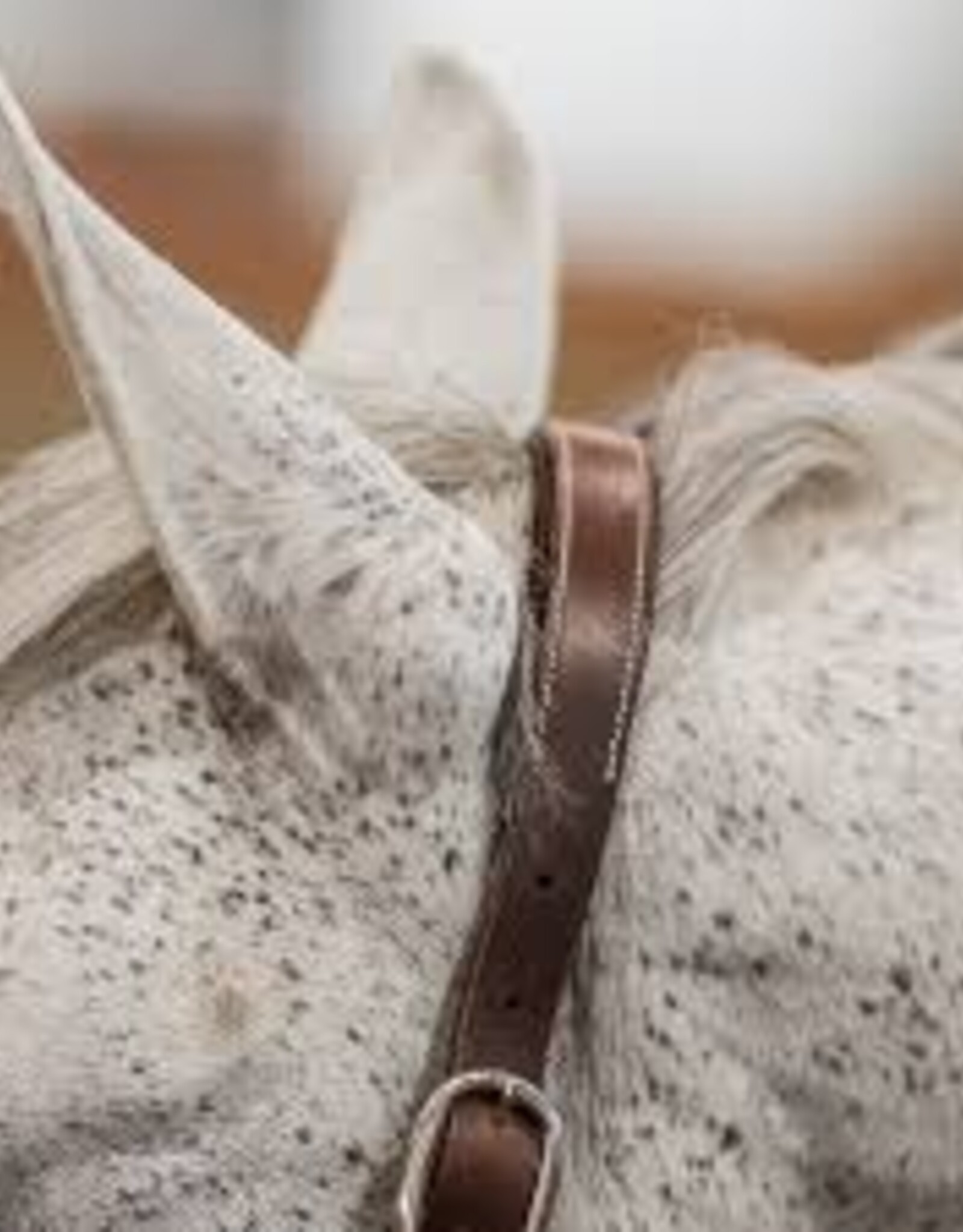 Commonwealth Saddles Commonwealth Banff Halter & Lead Set