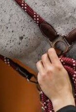 Commonwealth Saddles Commonwealth Banff Halter & Lead Set