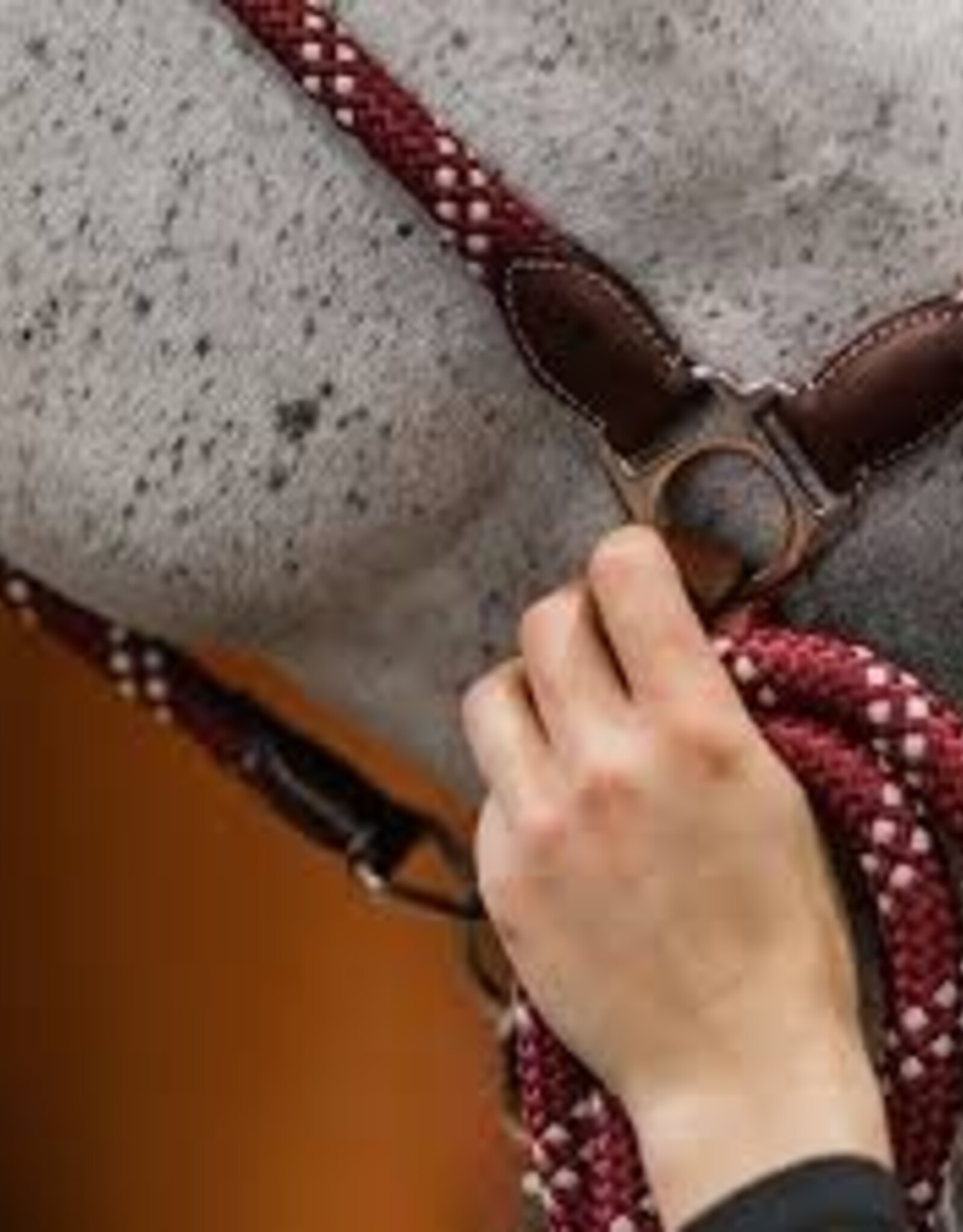 Commonwealth Saddles Commonwealth Banff Halter & Lead Set