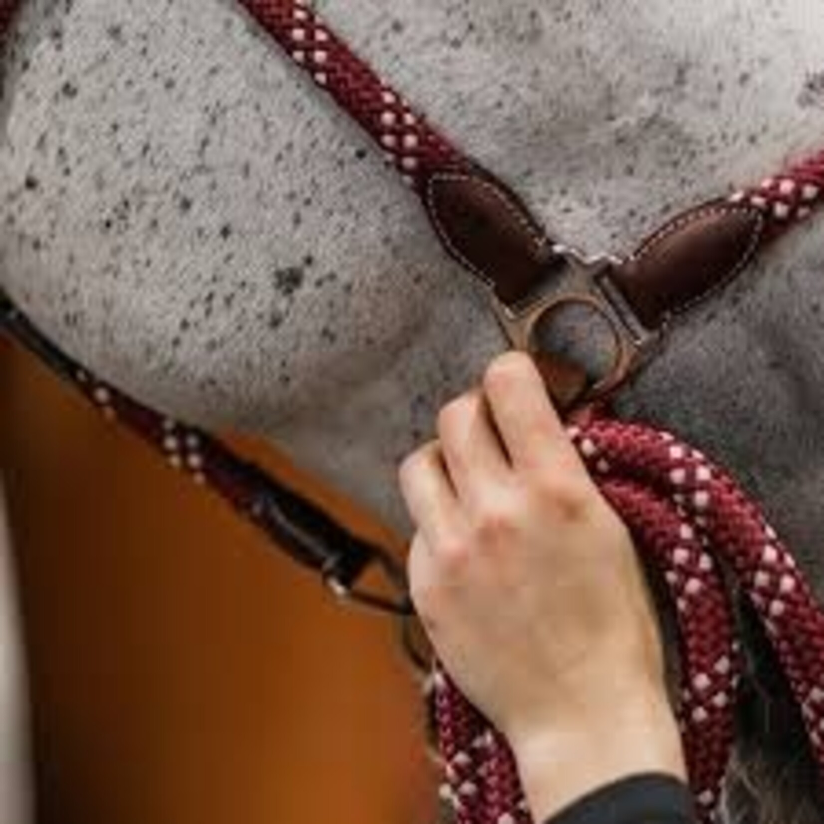 Commonwealth Saddles Commonwealth Banff Halter & Lead Set