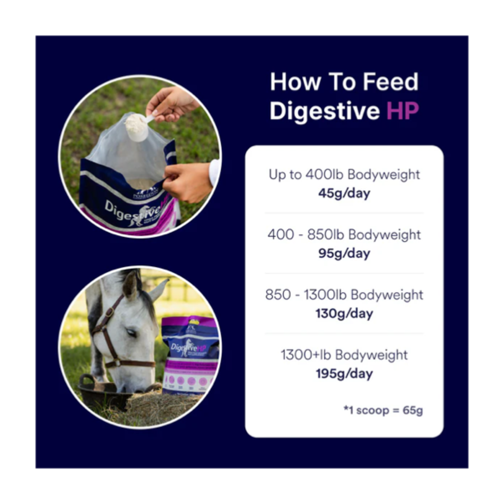 Poseidon Poseidon Animal Health Digestive HP -  10lb Bag