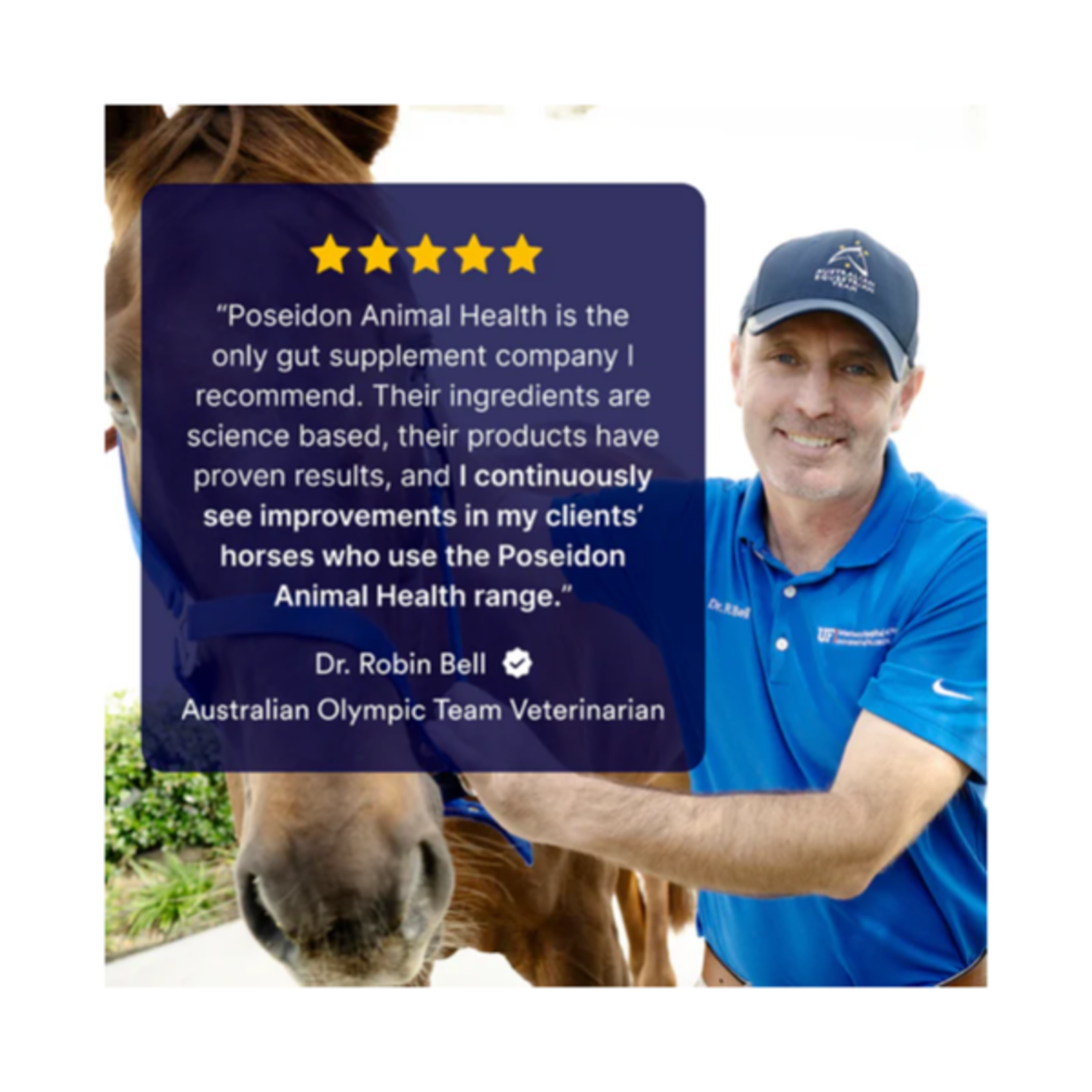 Poseidon Poseidon Animal Health Digestive HP -  10lb Bag