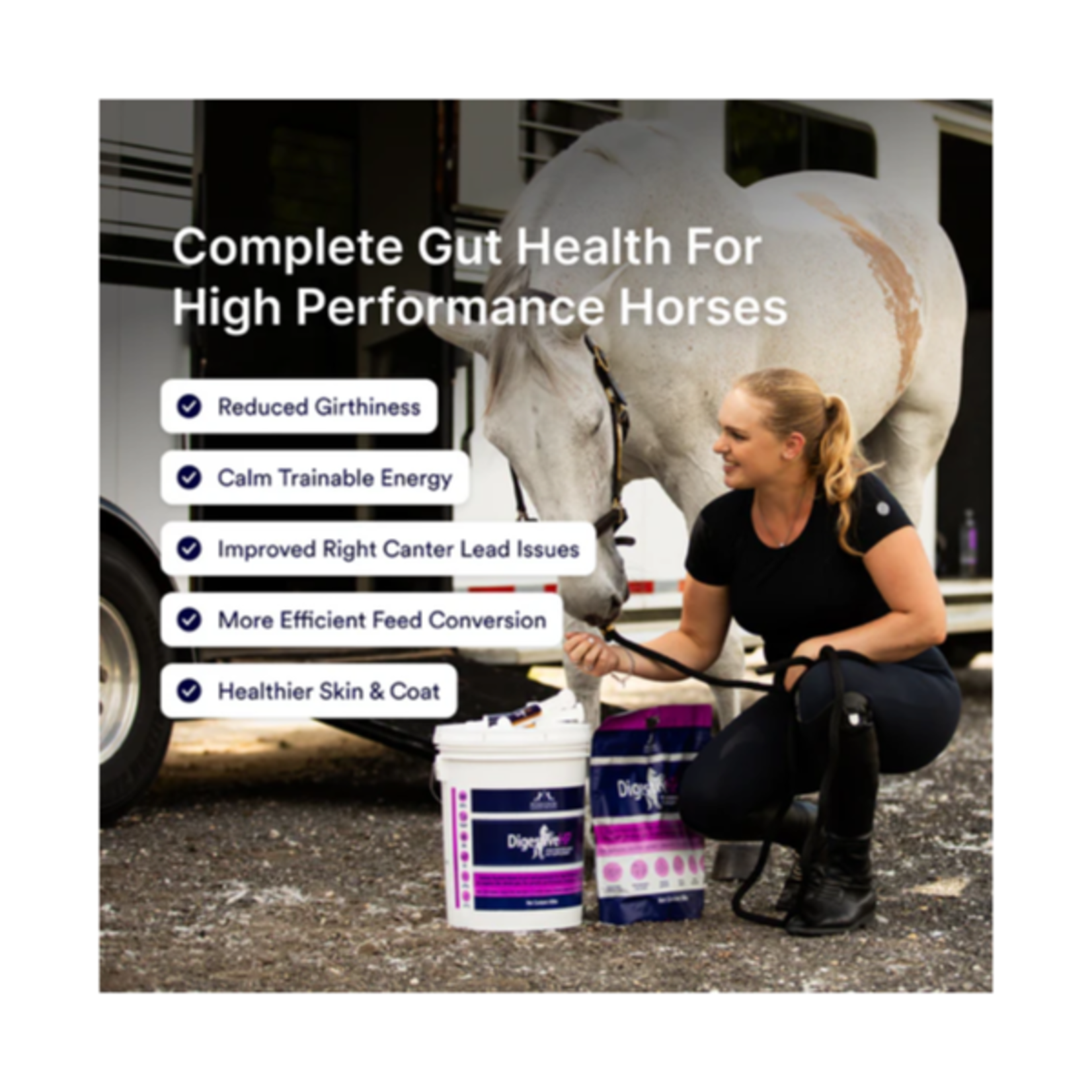 Poseidon Poseidon Animal Health Digestive HP -  10lb Bag