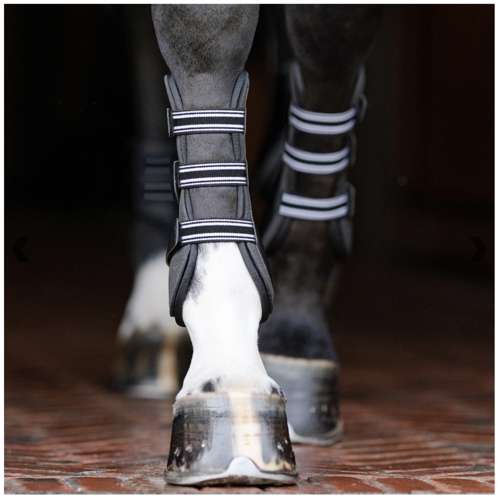 EQUIFIT EquiFit Essential Original Open Front Boot