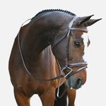 Bridles & Parts