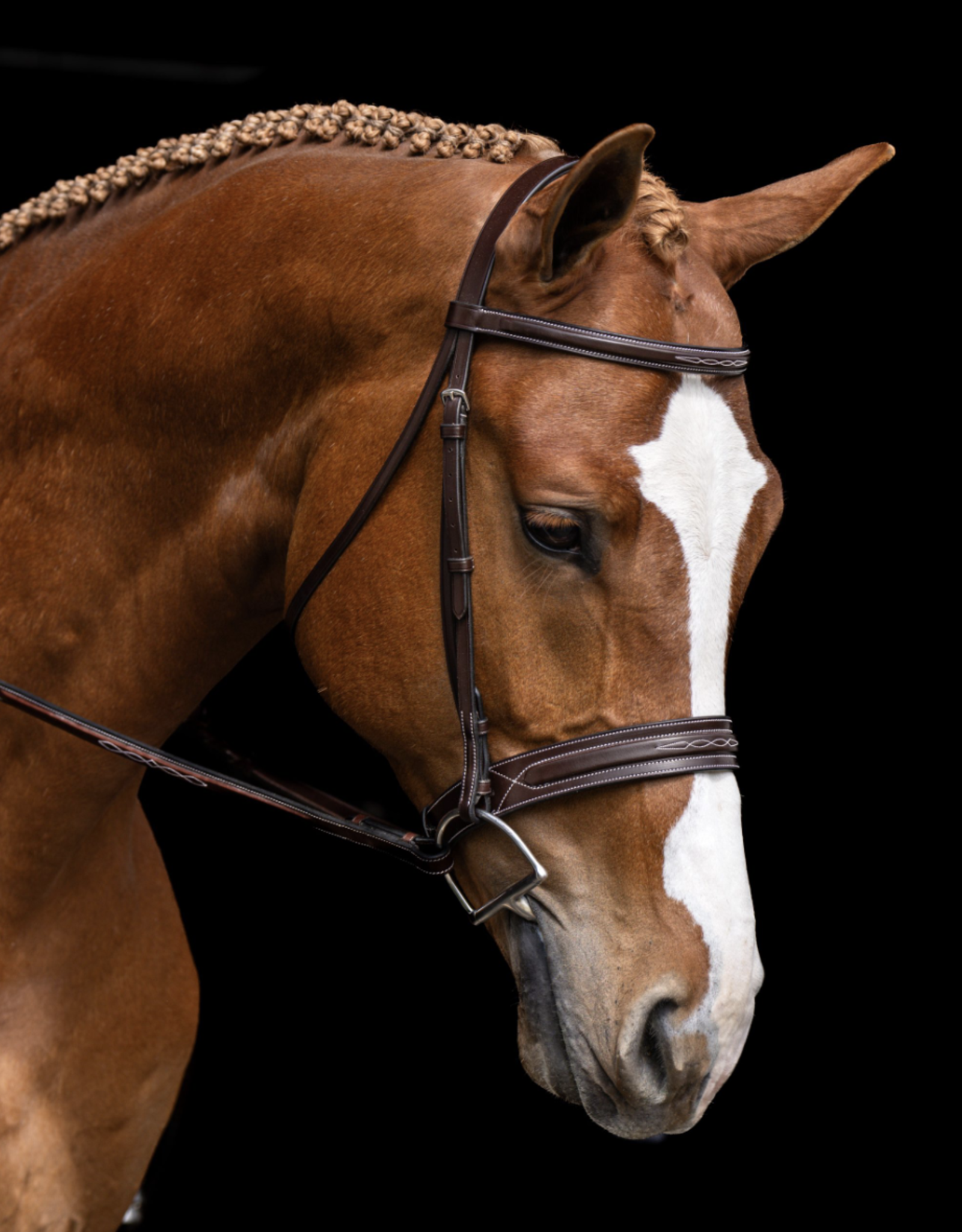 Red Barn Hudson Bridle