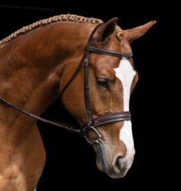 Red Barn Hudson Bridle