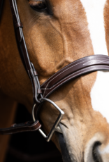 Red Barn Hudson Bridle
