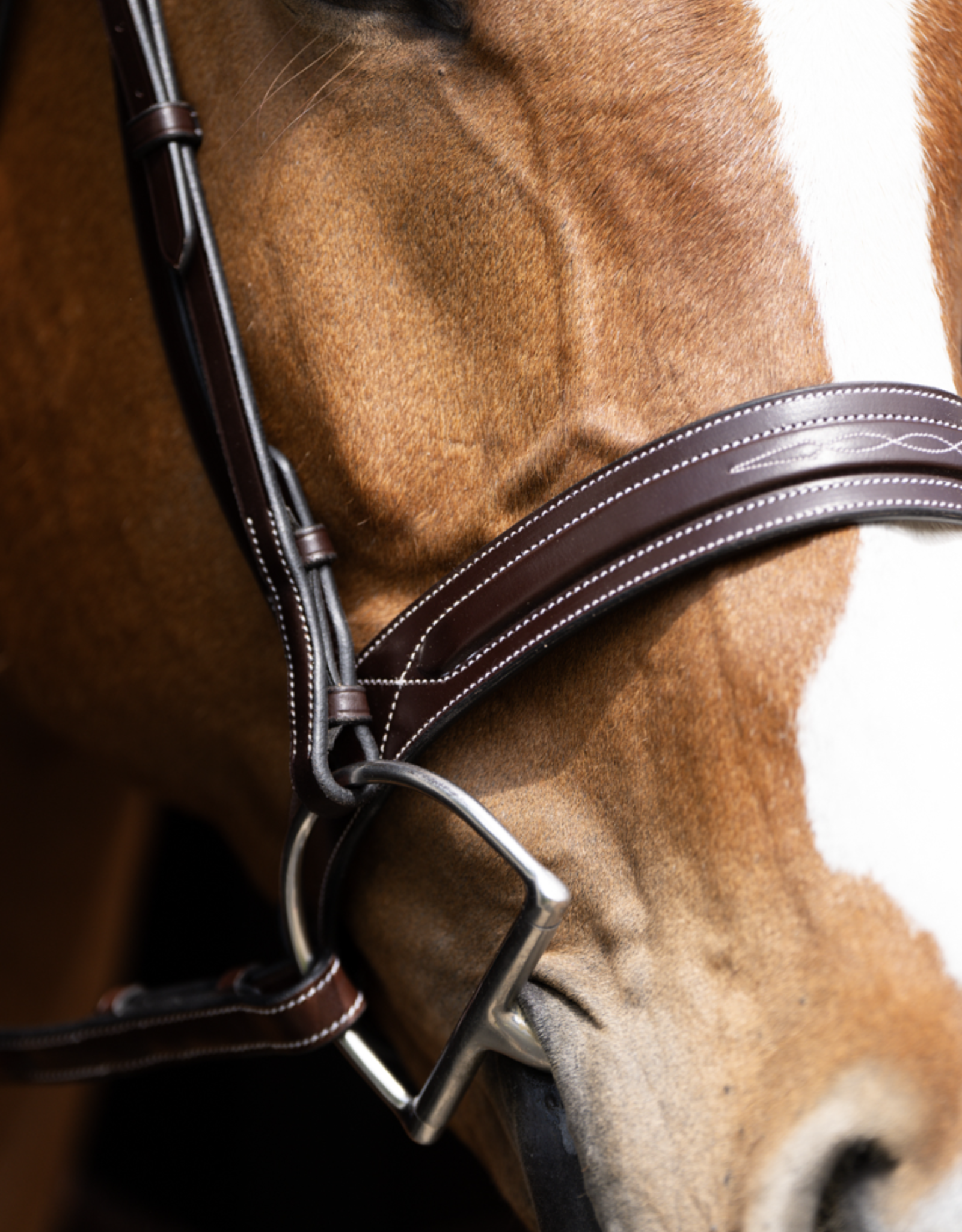 Red Barn Hudson Bridle
