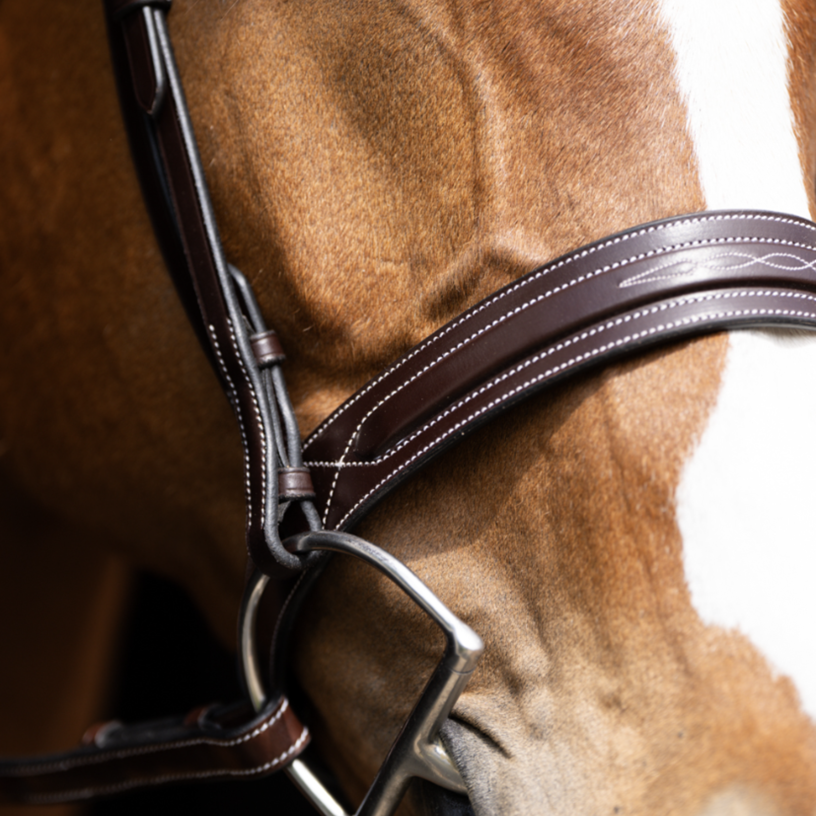 Red Barn Hudson Bridle