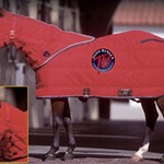 Big D Big D Grand Prix Custom Blanket - 64"