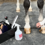 Horse Care