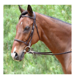 Bobby's Tack Raised Snaffle Bridle with Snaps