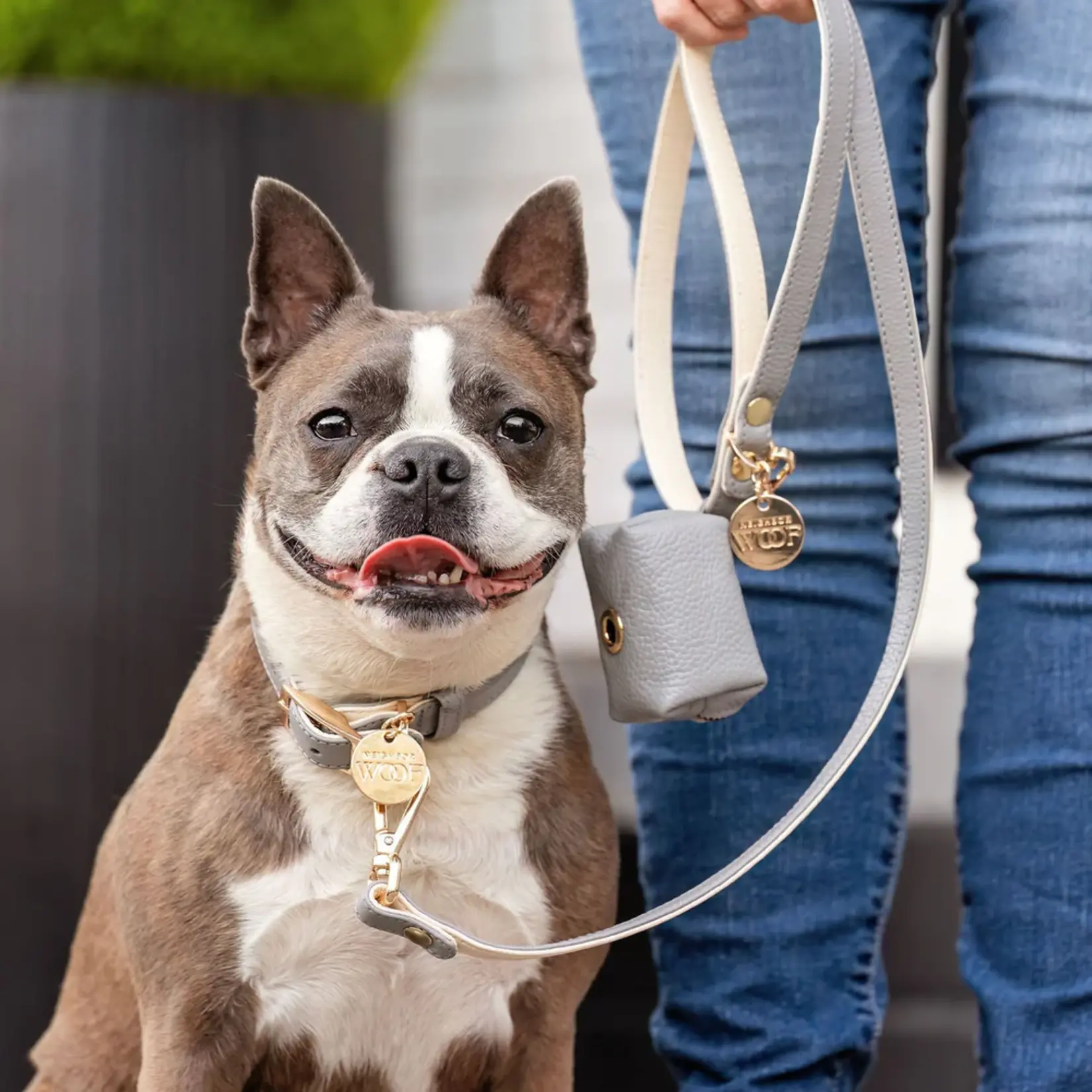 Neighbor Woof Neighbor Woof Classic Leather Dog Collar