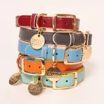 Neighbor Woof Neighbor Woof  Dog Collar