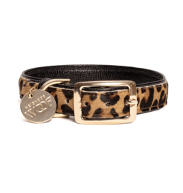 Neighbor Woof Neighbor Woof Dog Collar