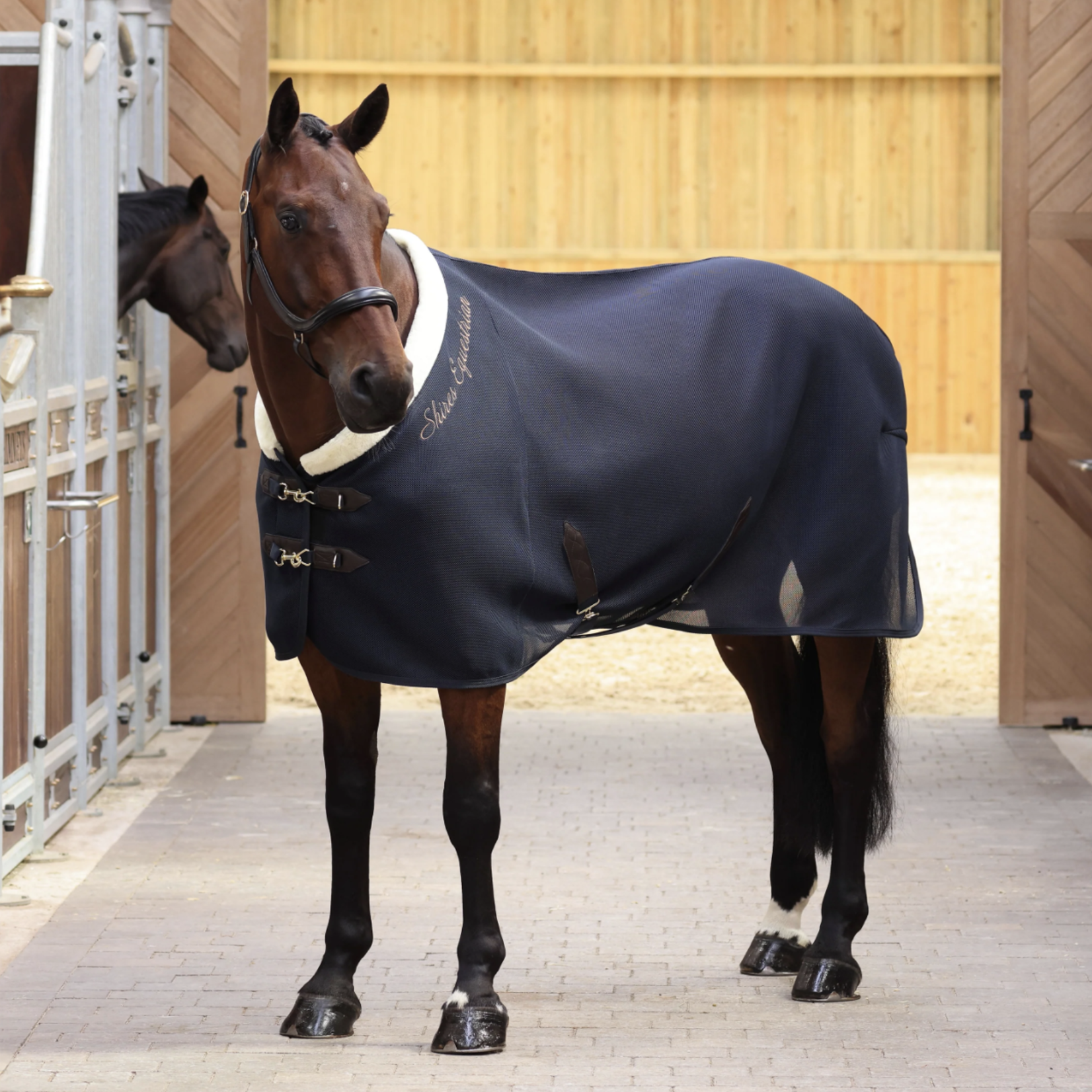 Shires Shires Deluxe Air Motion Cooler