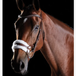 Collegiate Collegiate ComFiTec Sheepskin Bridle