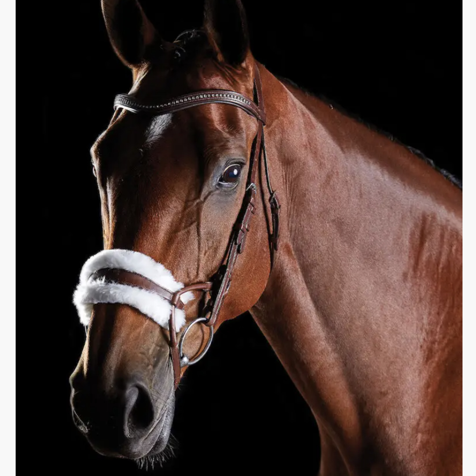Collegiate Collegiate ComFiTec Sheepskin Bridle