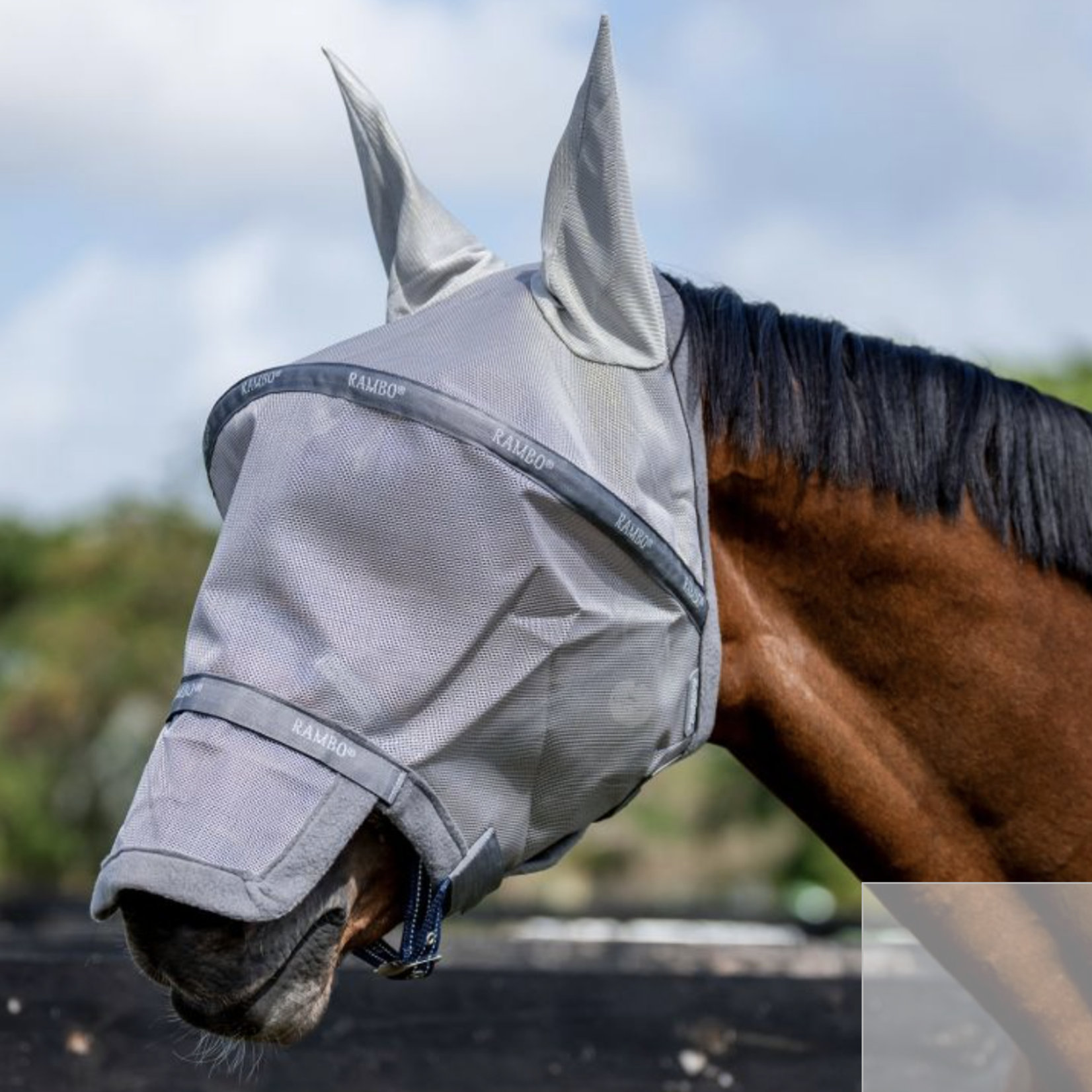 Rambo Plus Fly Mask