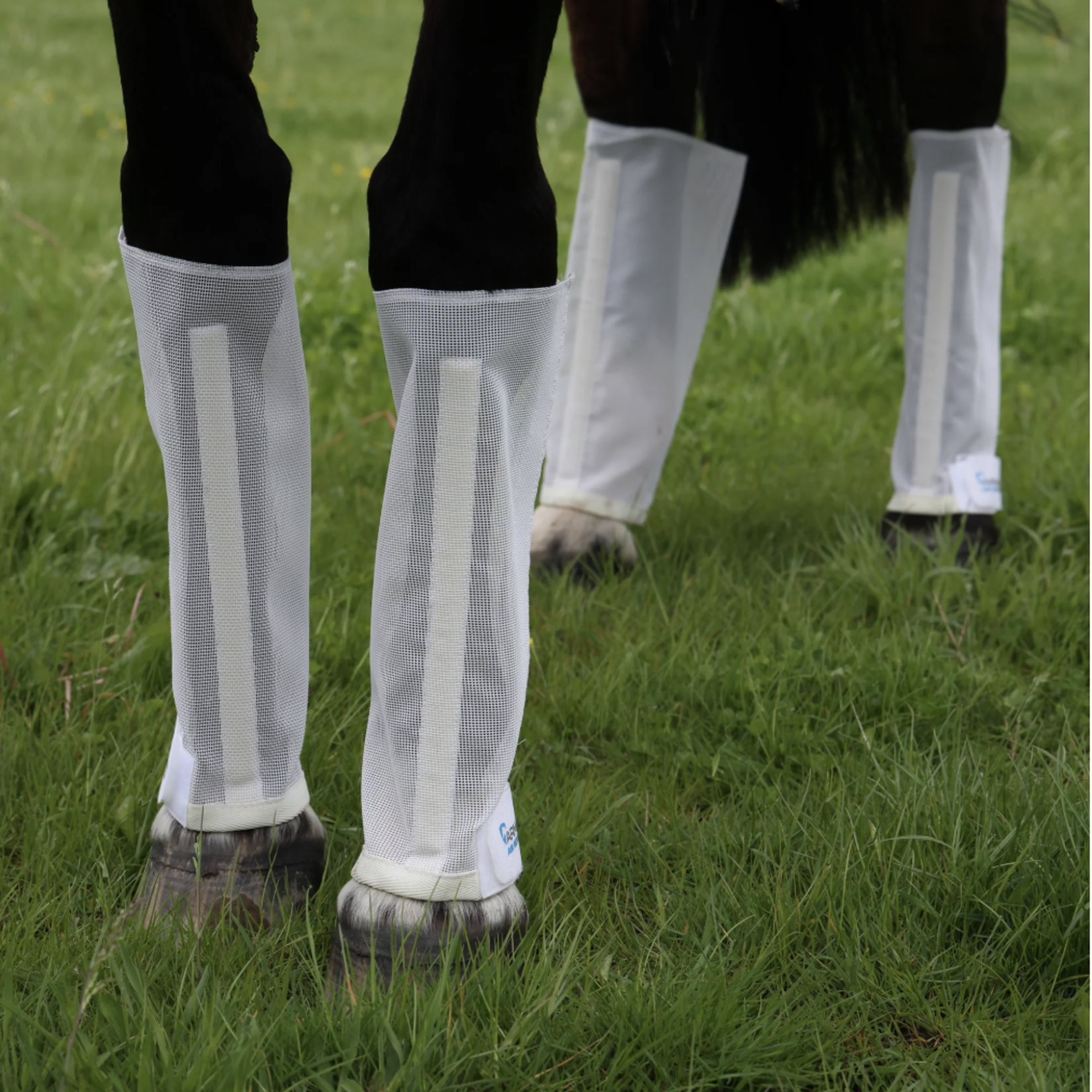 Arma Arma Mesh Fly Boots