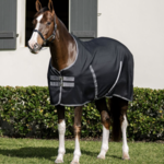 Rambo Stable Sheet