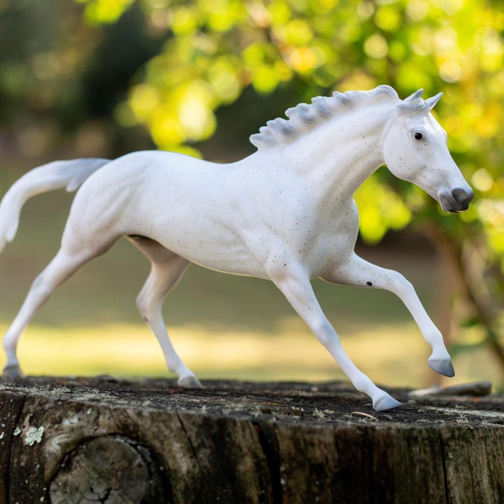 Tight Lines 75th Anniversary