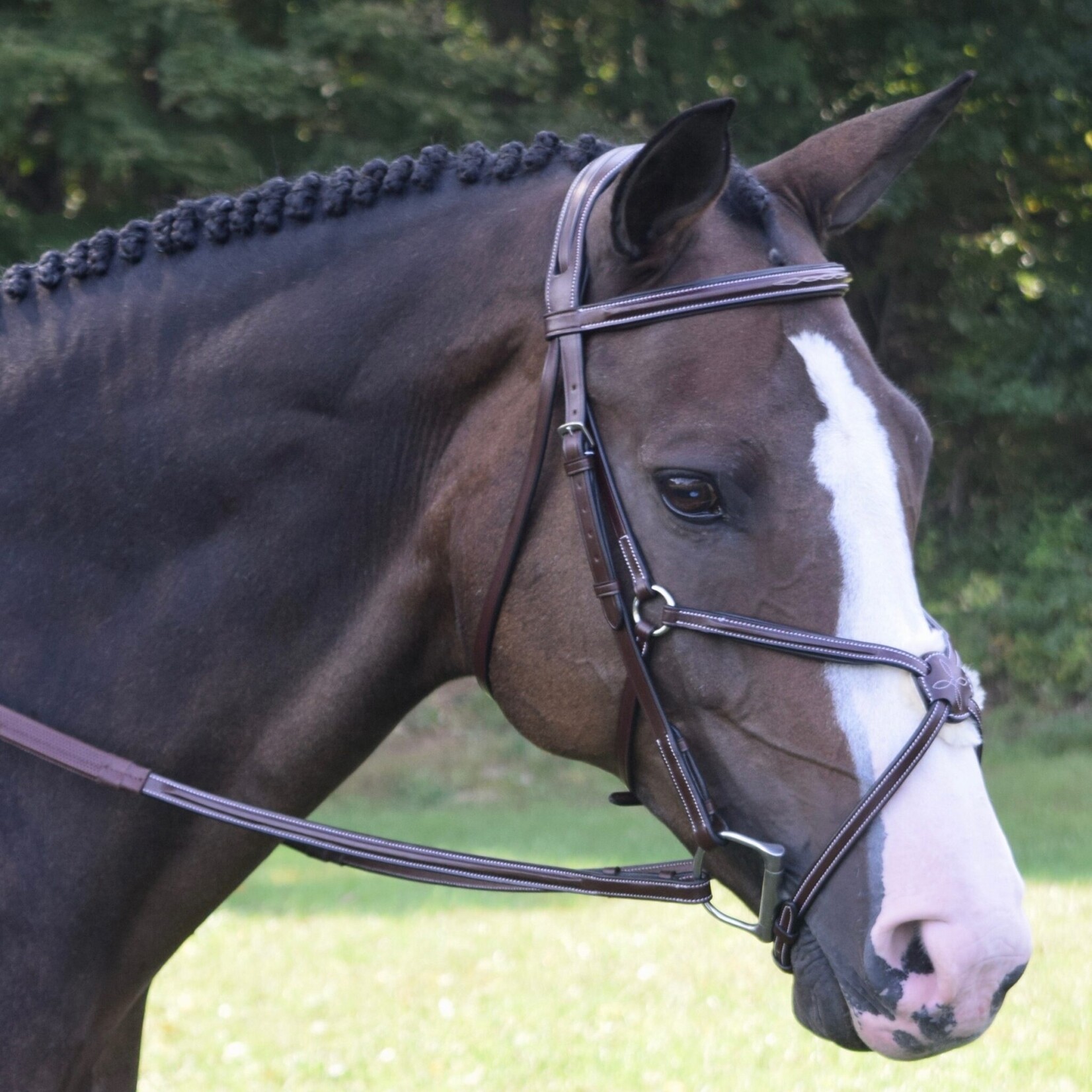 Red Barn Equinox Figure 8 Bridle