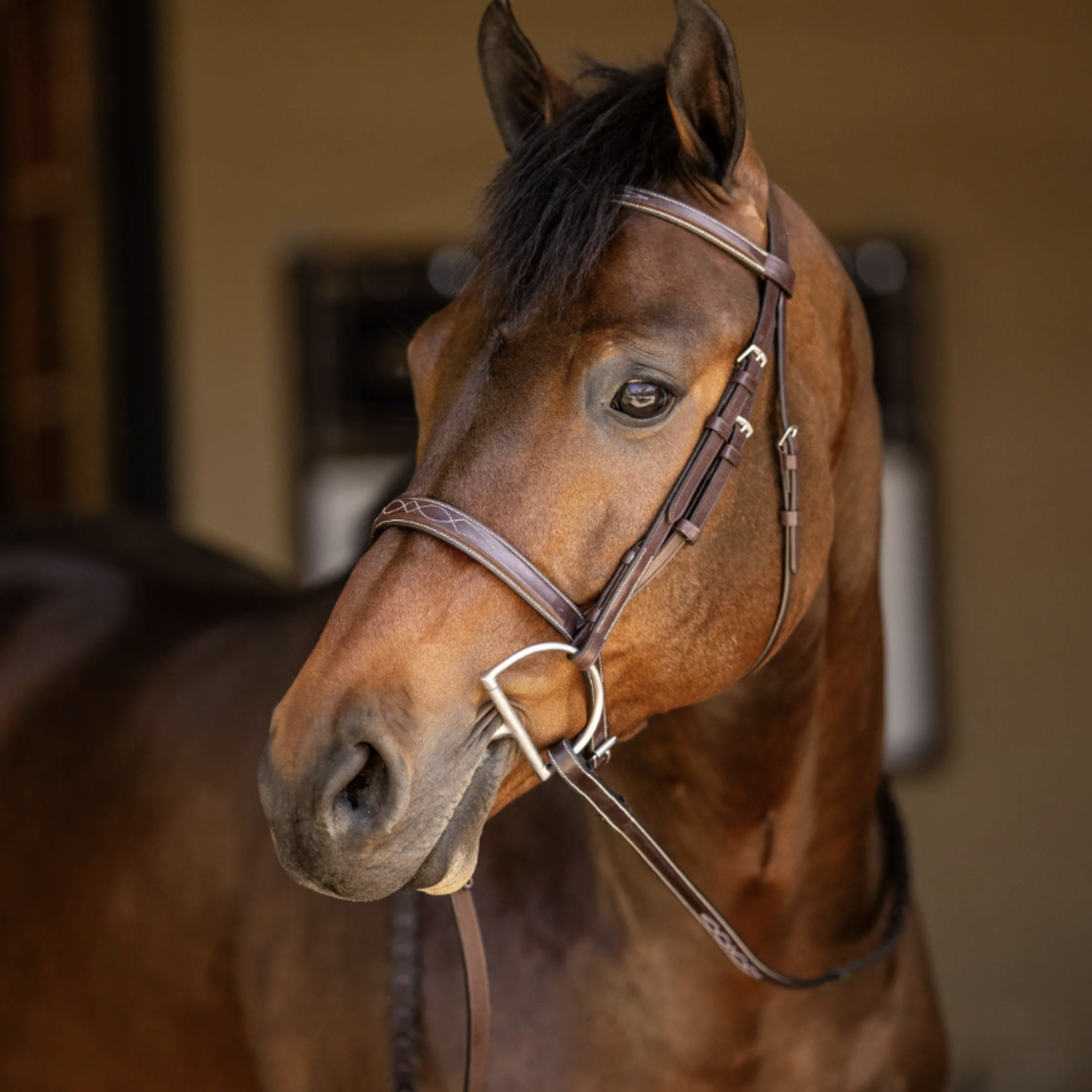Huntley Huntley Fancy Stitched Sedgwick Leather Bridle with Reins