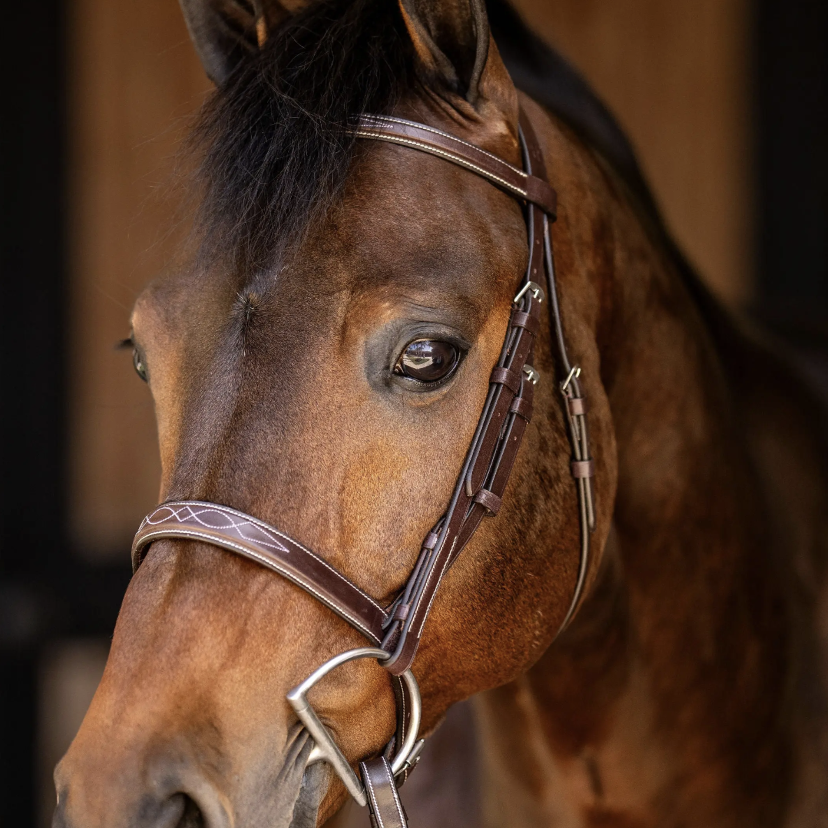Huntley Huntley Fancy Stitched Sedgwick Leather Bridle with Reins