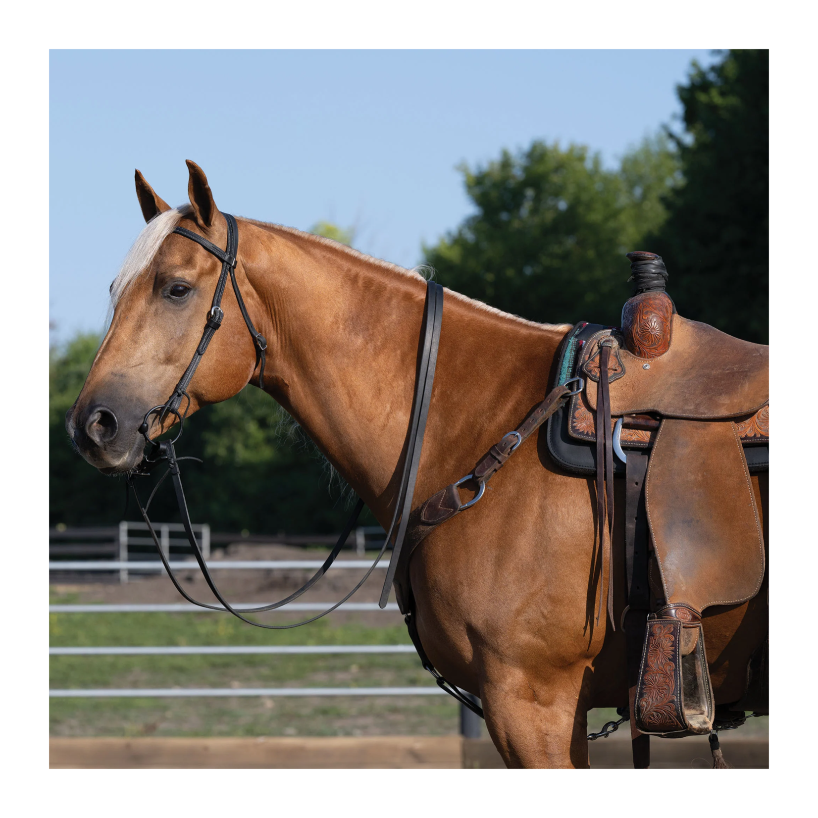 Weaver Black Leather Browband Headstall