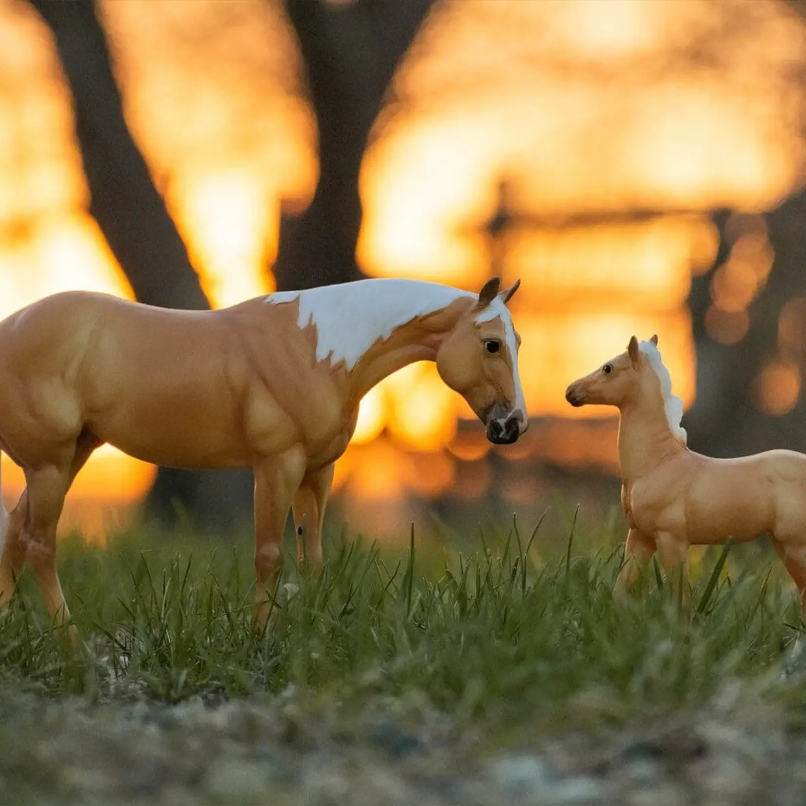 Breyer Ebony Shines & Charlize