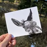 Laughing Mule Laughing Mule Notecard - Pack of 6