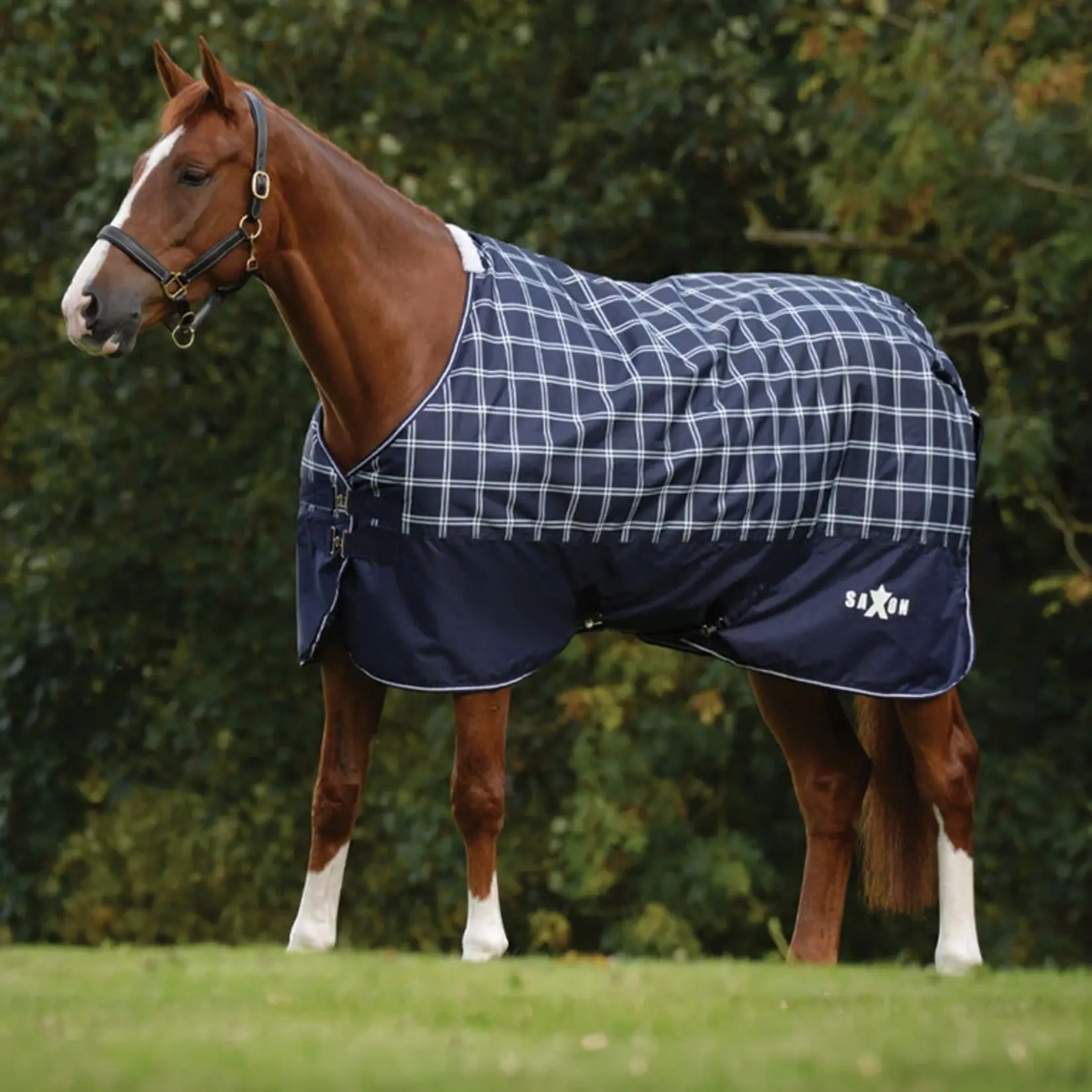 Saxon Saxon Defiant 600D Rain Sheet