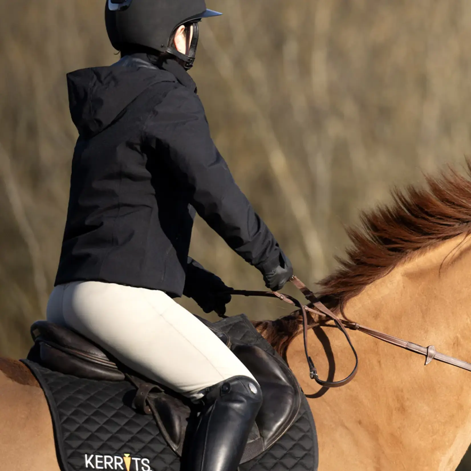 Kerrits Ladies' Waterproof All Around Jacket