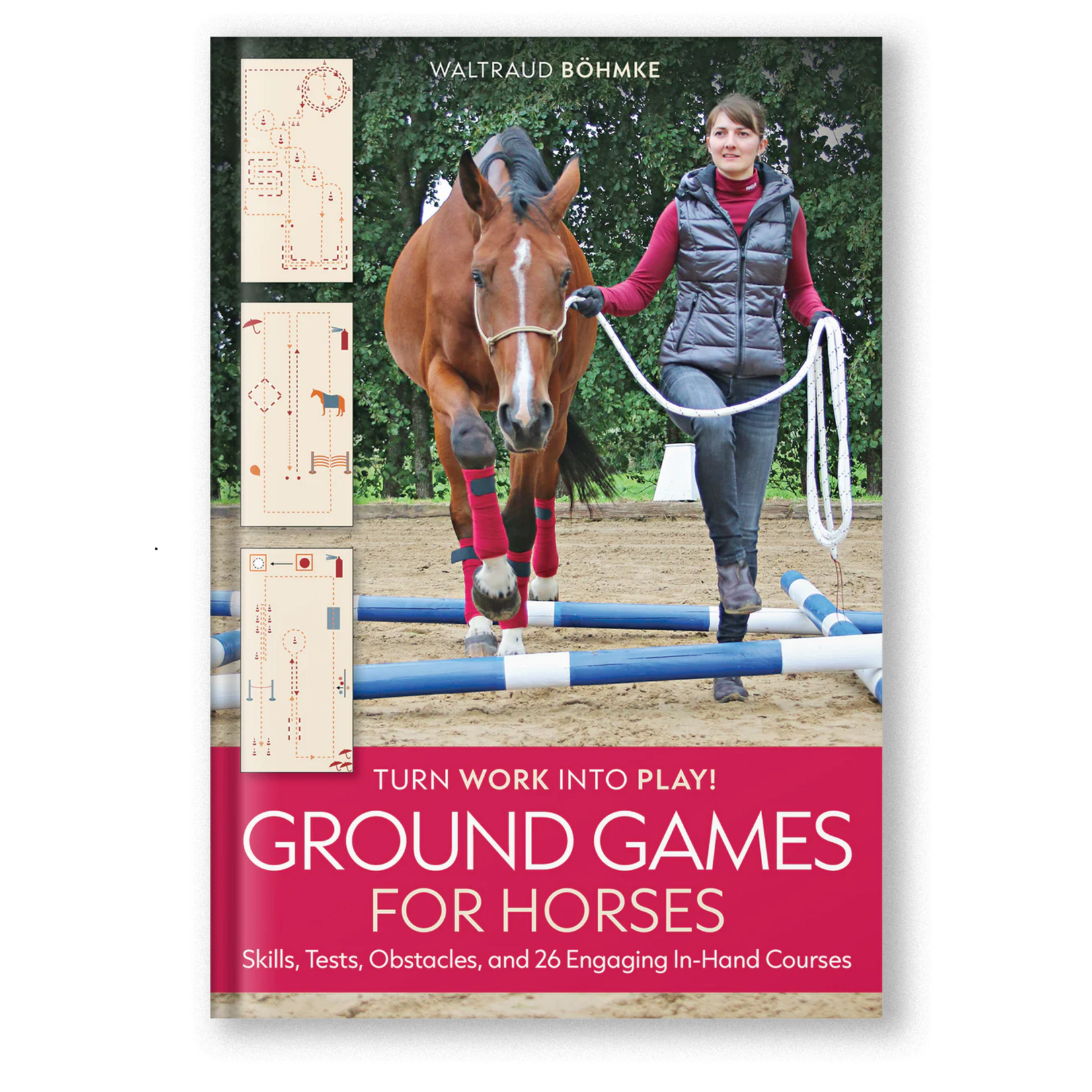 Ground Games for Horses: Skills, Tests, Obstacles, and 26 Engaging In-Hand Courses
