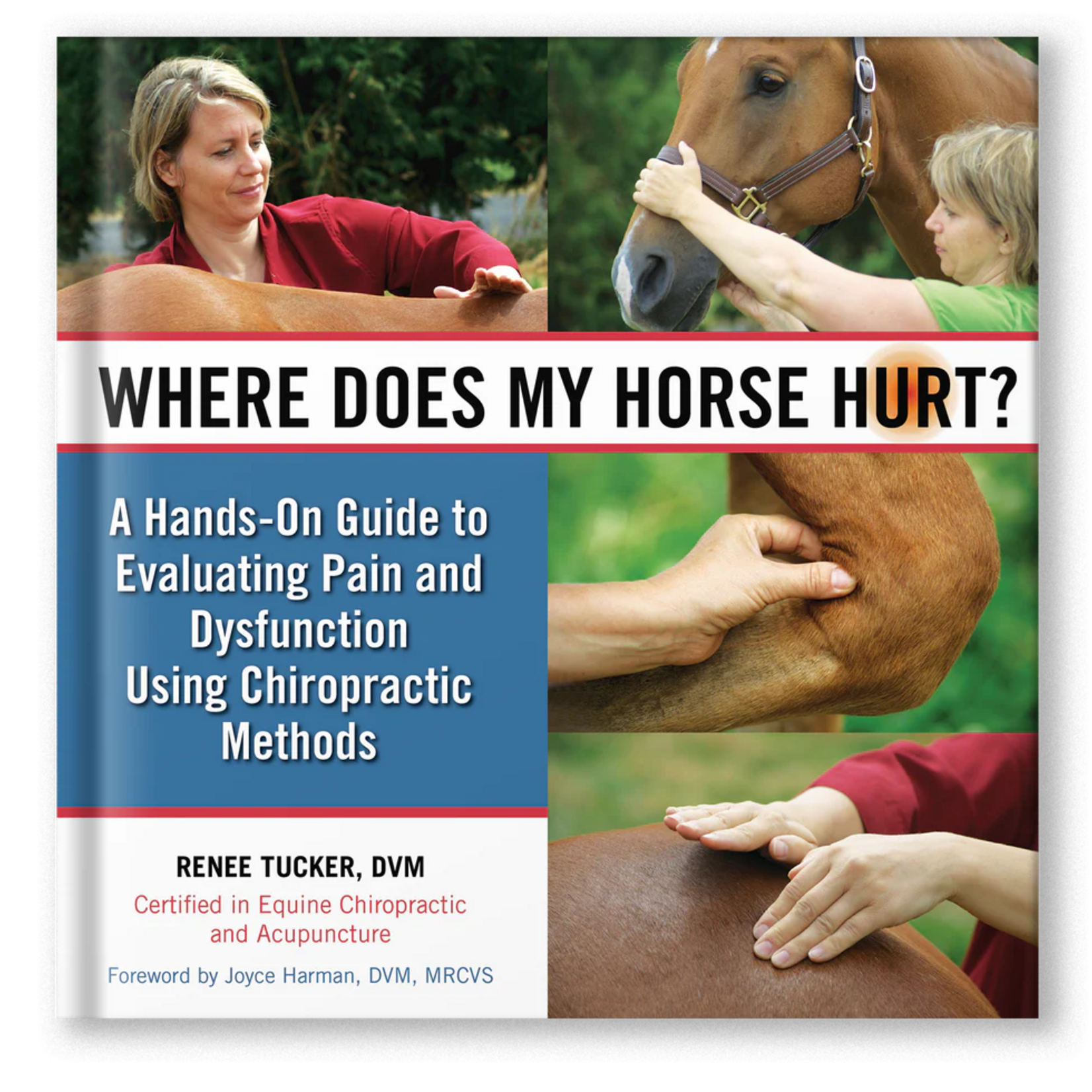 Where Does My Horse Hurt?: A Hands-On Guide to Evaluating Pain and Dysfunction Using Chiropractic Methods