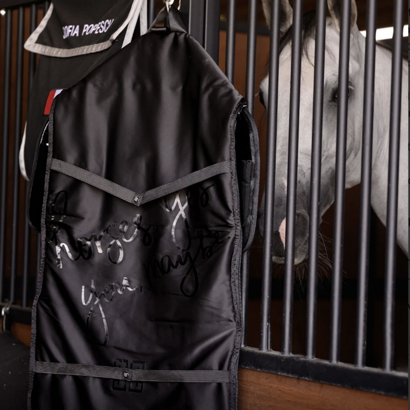 Euphoric Equestrian  Euphoric Eq Weekender Tote