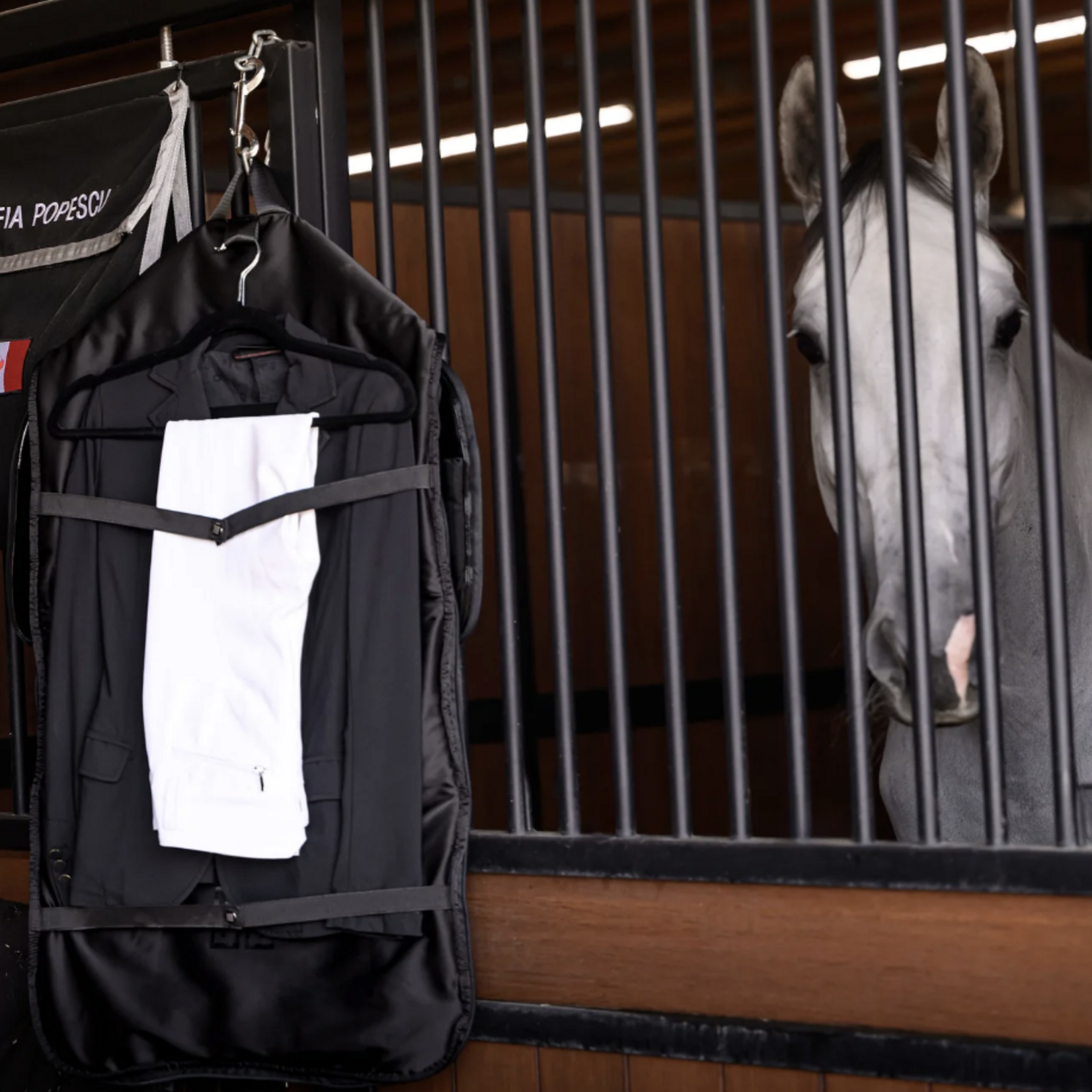 Euphoric Equestrian  Euphoric Eq Weekender Tote