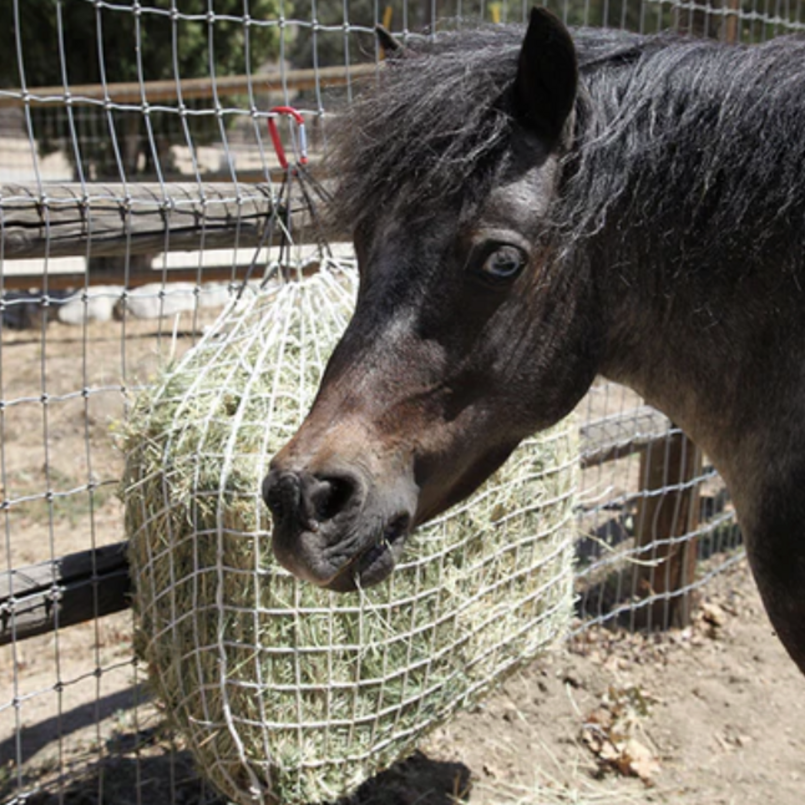 Freedom Feeder Slow Feeder 2 Flake Hay Net 1" Holes