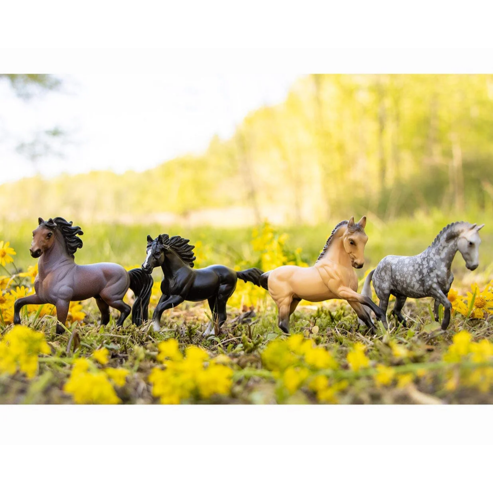 Breyer Poetry In Motion Gift Set