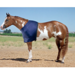 Robinhoods Robinhood Lady Marrion Lycra Shoulder Guard