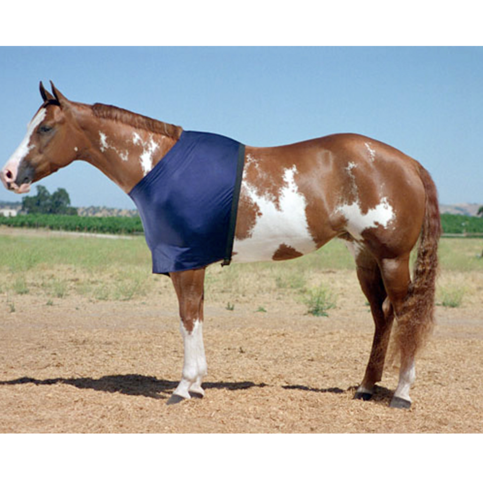 Robinhoods Robinhood Lady Marrion Lycra Shoulder Guard