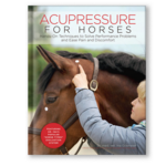 Acupressure for Horses