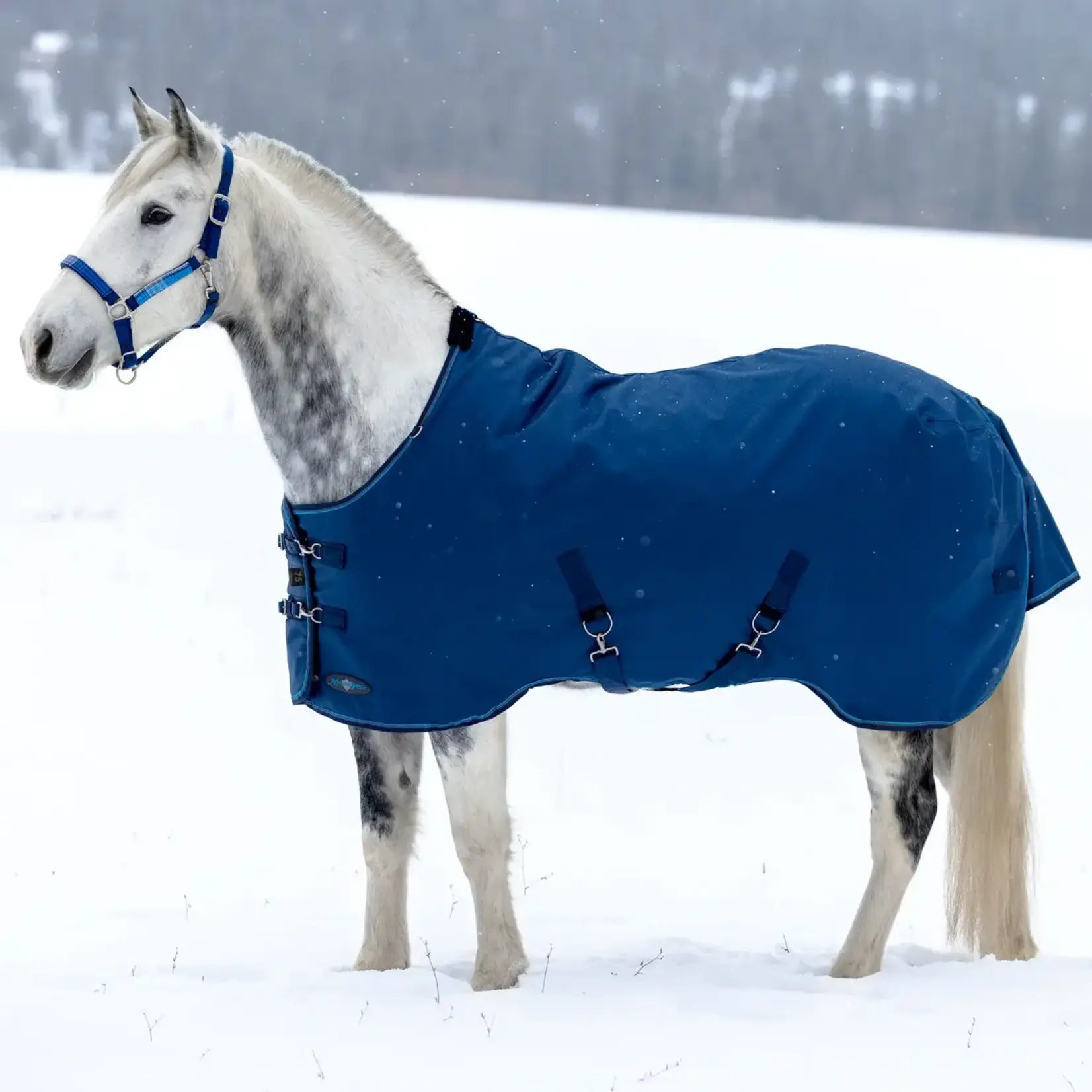 Kensington 180g Turnout Blanket