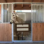 Kensington Stall Guard
