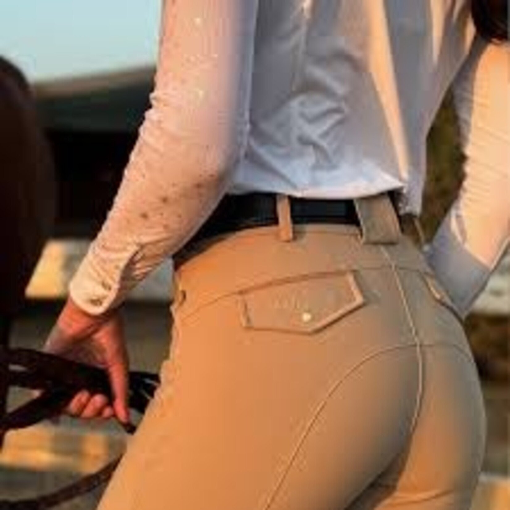 LAEQ LAEQ Ladies' Twilight Knee Patch Breech