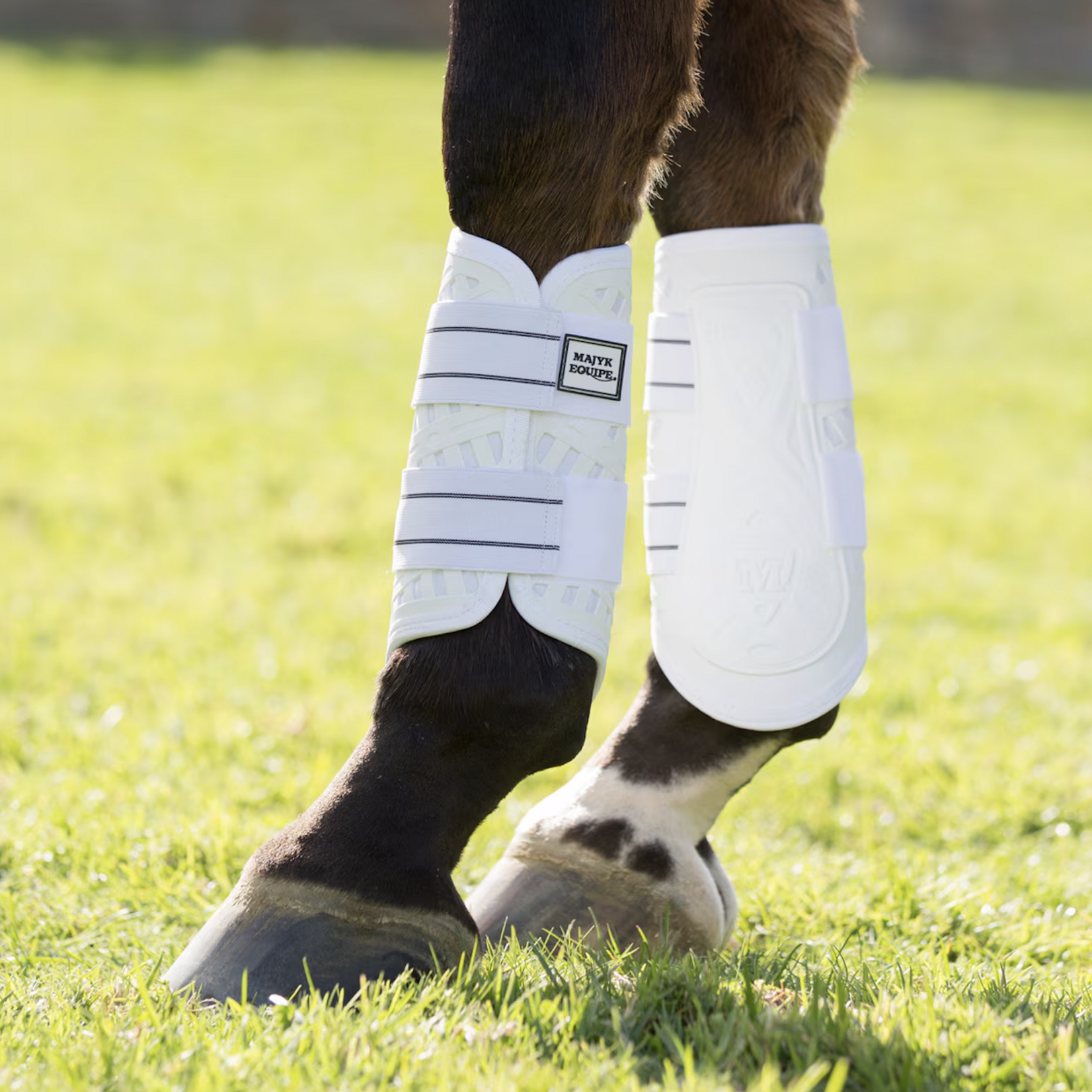 Majyk Equipe Sport Dressage Boot